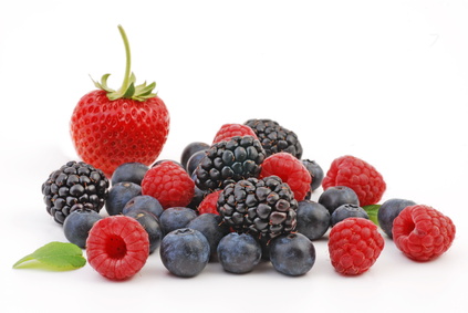 Erdbeere, Himbeere, Heidelbeere und Brombeere