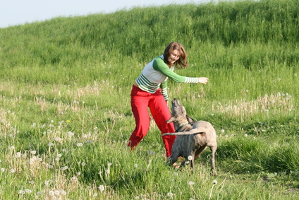 Frau spielt mit ihrem Hund