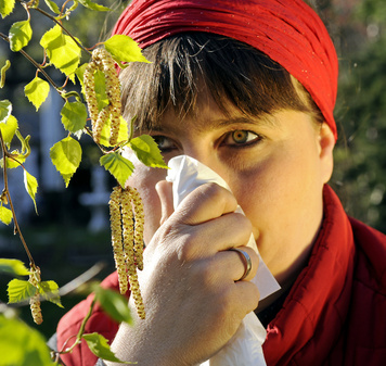 Frau mit Taschentuch vor Birkenpollen