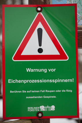 Schild zur Warnung vor Eichenprozessionspinnern