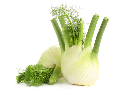 Fenchel macht fit