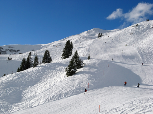 schneesport snowboard dual