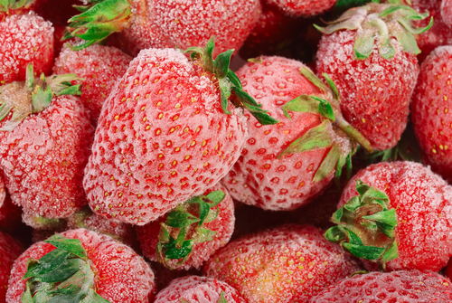 Norovirus durch Erdbeeren