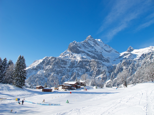 Skischule Ski fahren lernen Erwachsener